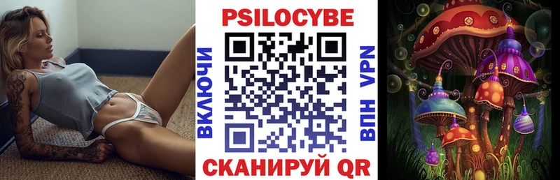 гидра tor купить наркотик Краснообск Псилоцибиновые грибы Cubensis