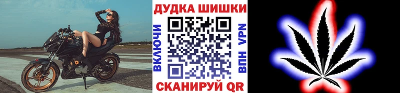 Бошки марихуана MAZAR  маркетплейс официальный сайт  Краснообск  kraken маркетплейс 